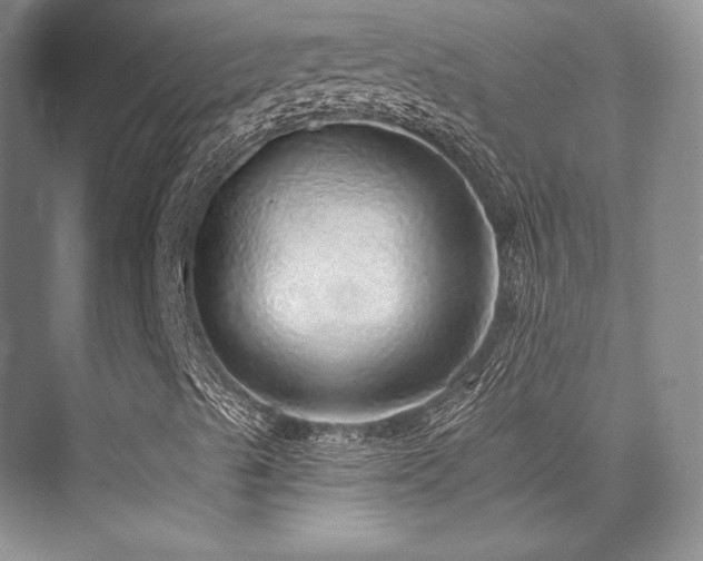 X0000076081489200609221209