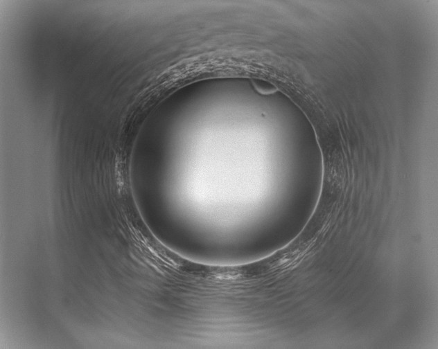 X0000076081490200609221209