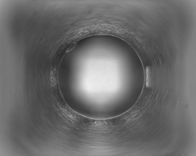 X0000076081491200609221209