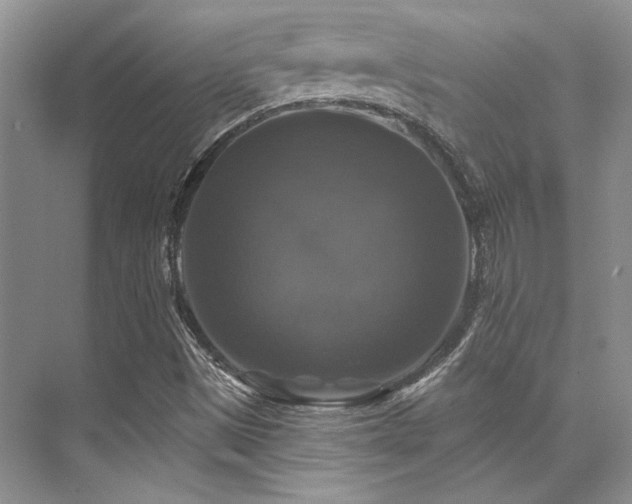 X0000076081497200609221209