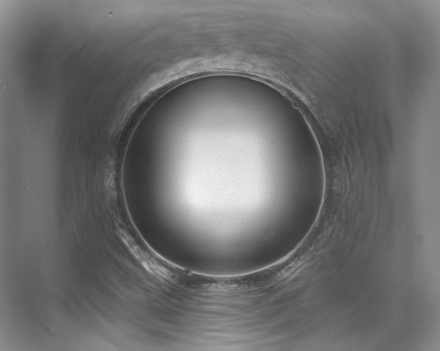 X0000076081499200609221209