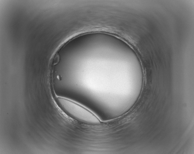 X0000076081500200609221209