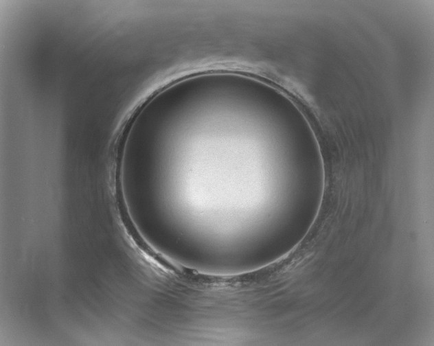 X0000076081504200609221209