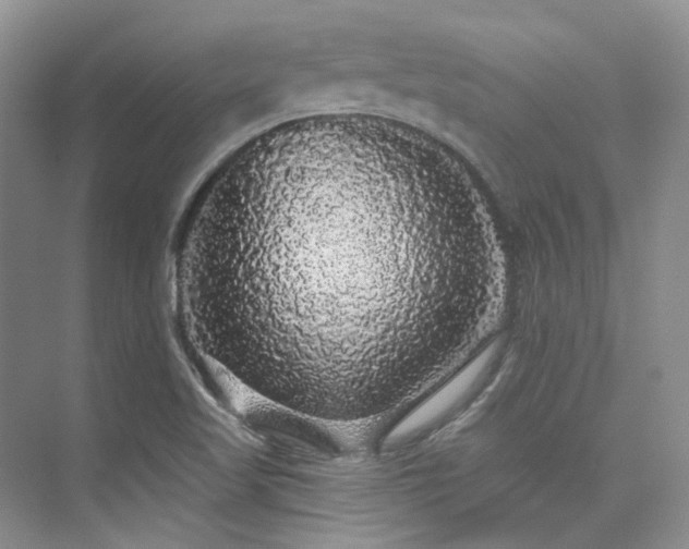 X0000076081509200609221209