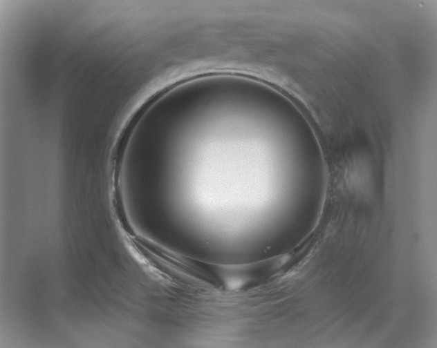 X0000076081511200609221209