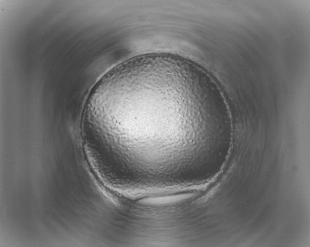 X0000076081521200609221209