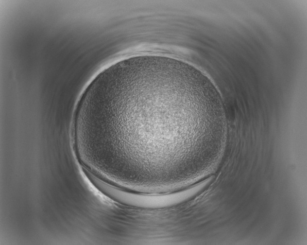 X0000076081531200609221209
