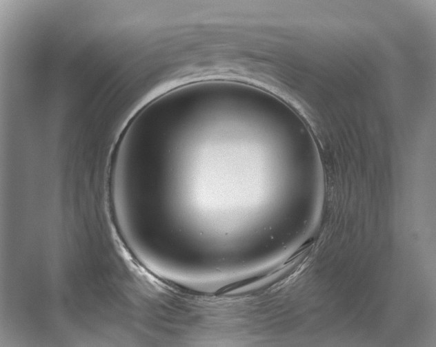 X0000076081534200609221209