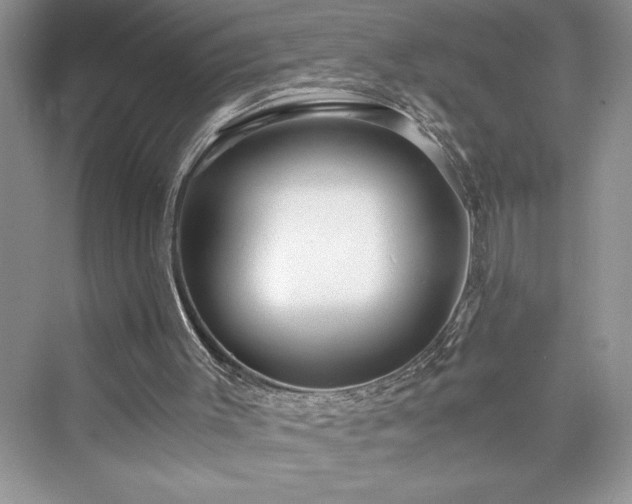 X0000076080003200609291303