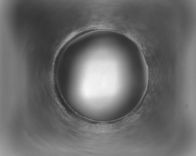 X0000076080008200609291303