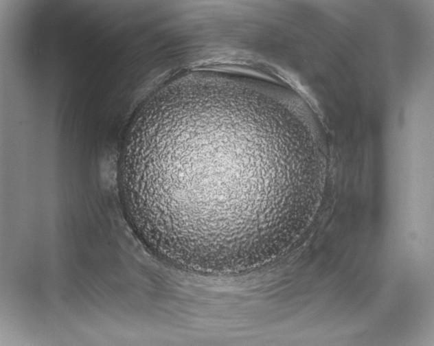 X0000076080010200609291303