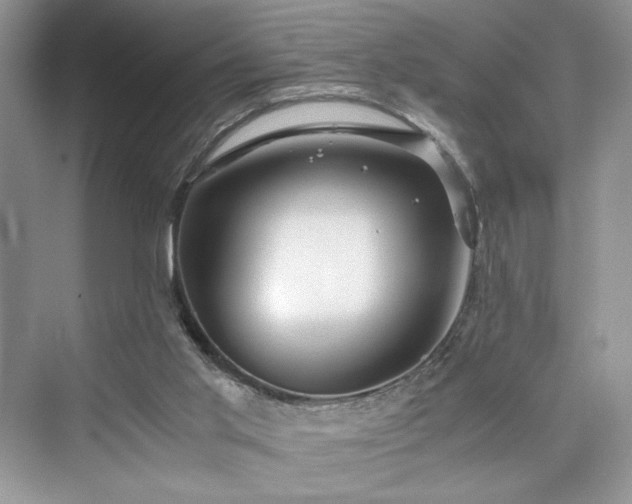 X0000076080013200609291303