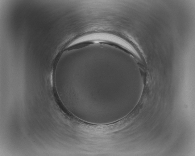 X0000076080019200609291303