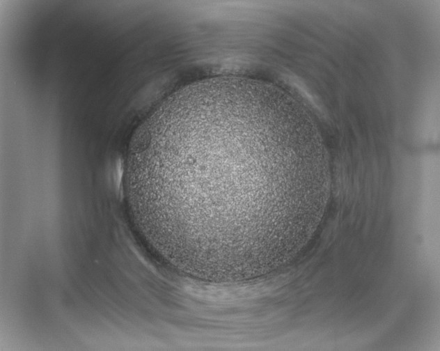 X0000076080022200609291303