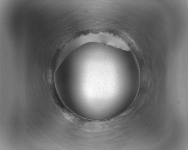 X0000076080025200609291303