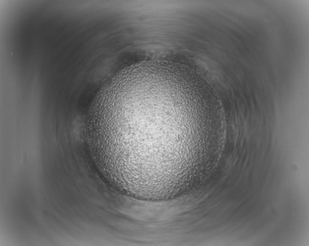 X0000076080034200609291302