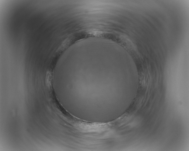 X0000076080036200609291302
