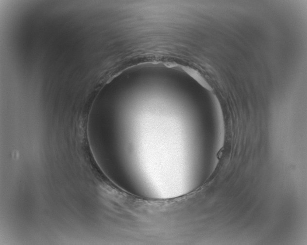X0000076080037200609291302