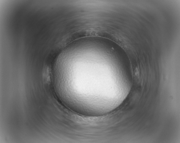 X0000076080038200609291302