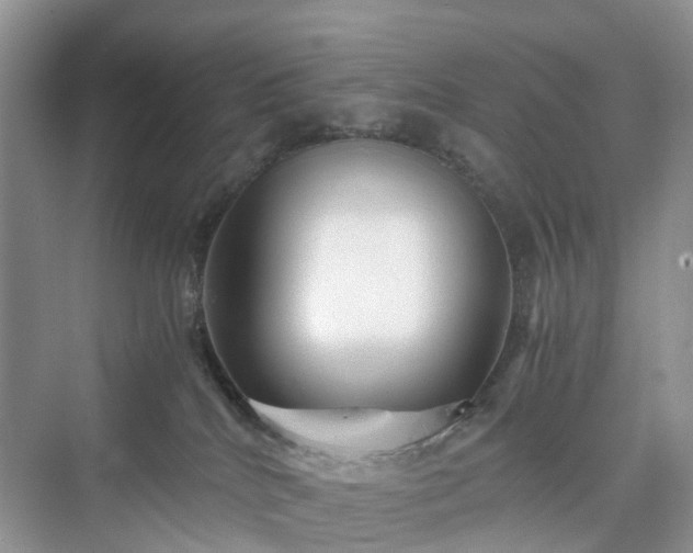X0000076080040200609291302