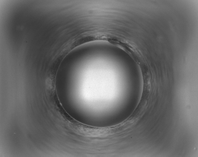 X0000076080044200609291302