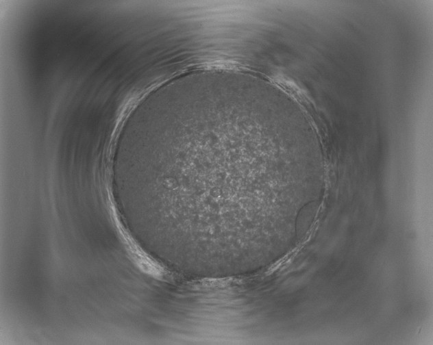 X0000076080049200609291301