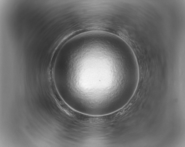 X0000076080050200609291301