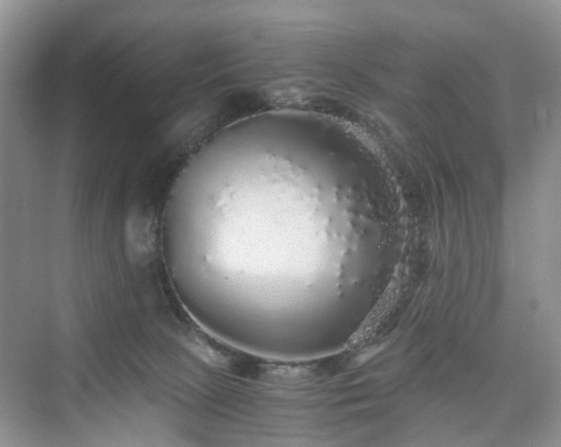 X0000076080081200609291302