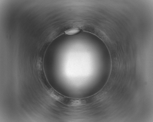 X0000076080083200609291302
