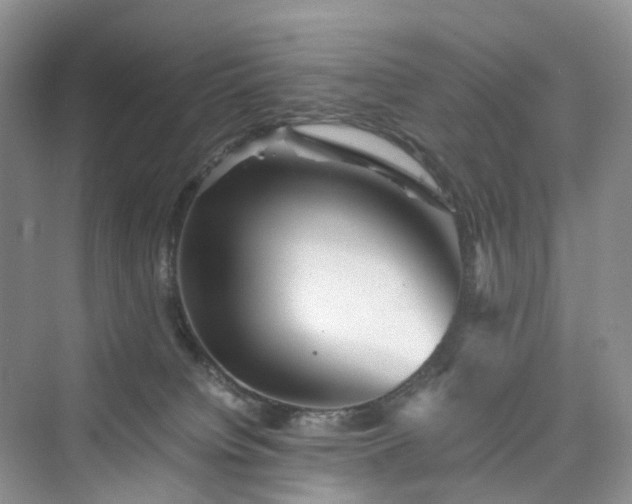 X0000076080084200609291302
