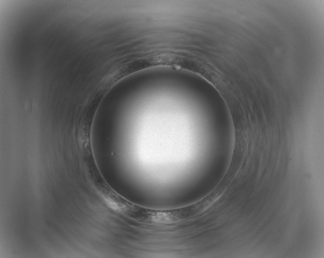 X0000076080091200609291302