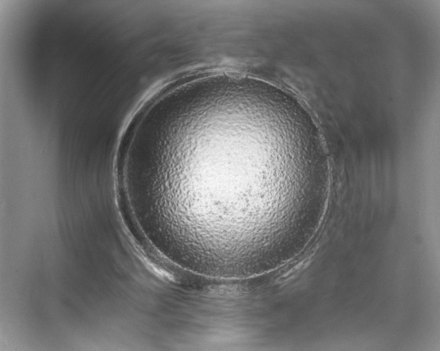 X0000076080102200609291301