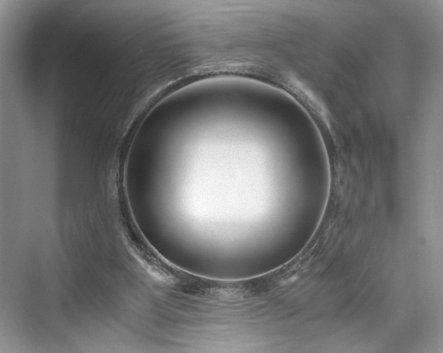 X0000076080107200609291301
