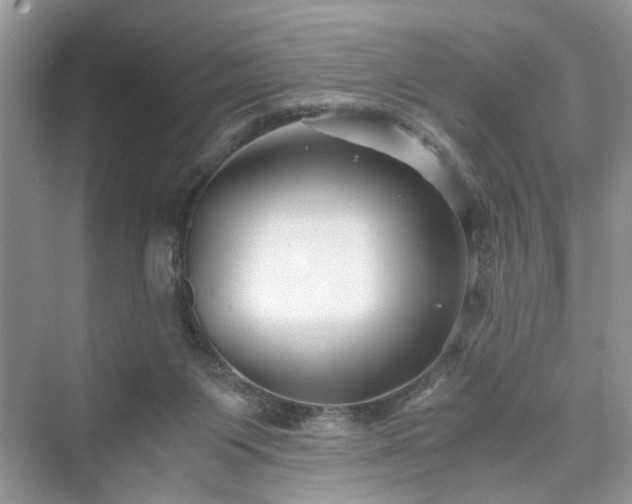X0000076080119200609291301