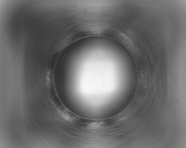 X0000076080122200609291301