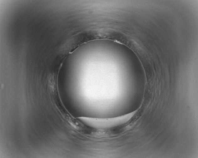 X0000076080129200609291301