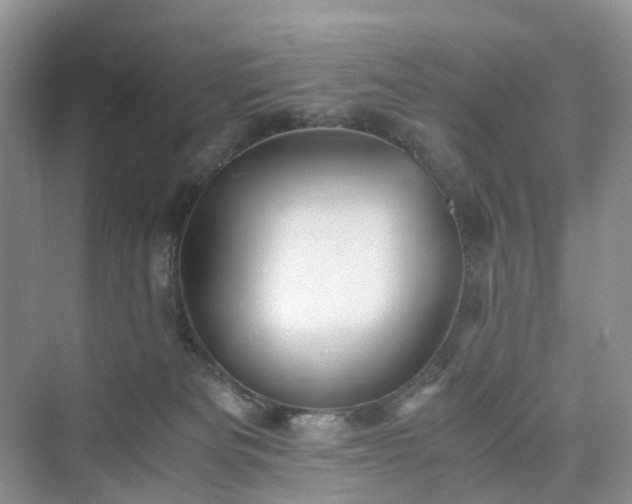 X0000076080133200609291301