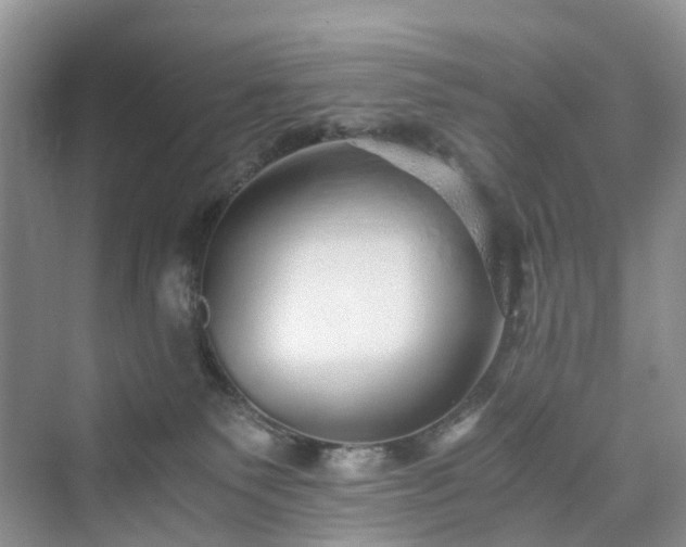 X0000076080135200609291301