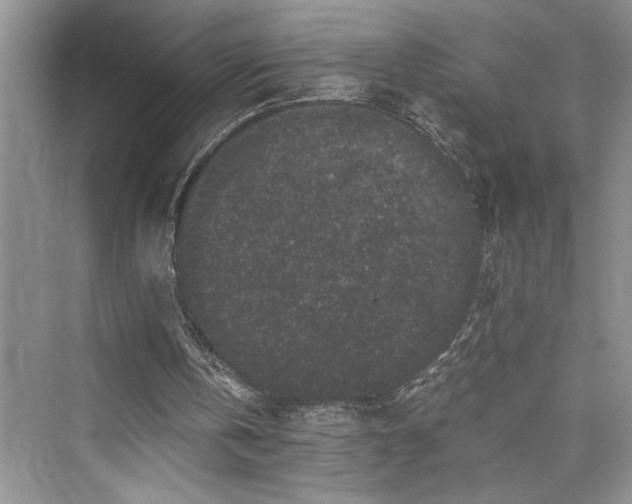 X0000076080146200609291300