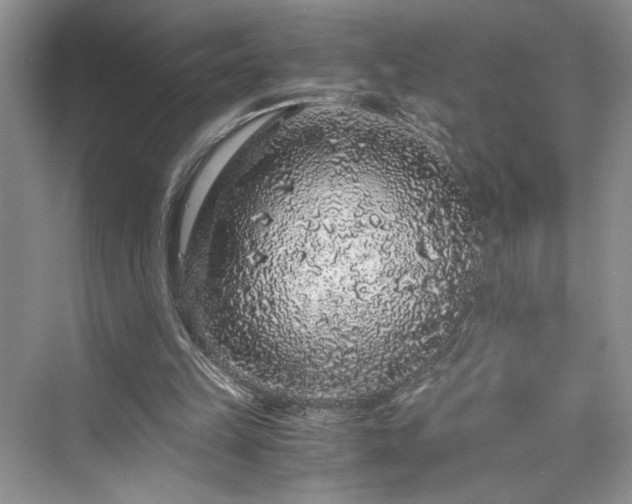 X0000076080149200609291300