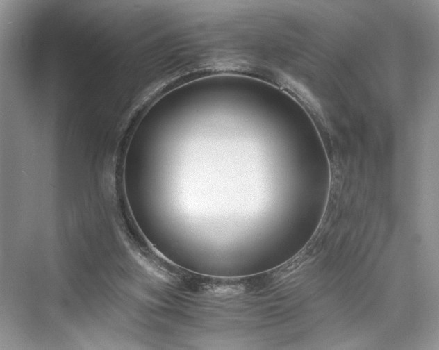X0000076080155200609291300
