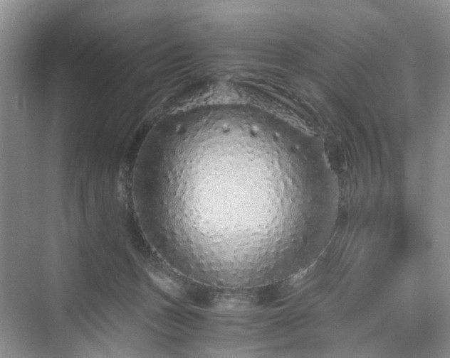 X0000076080175200609291300