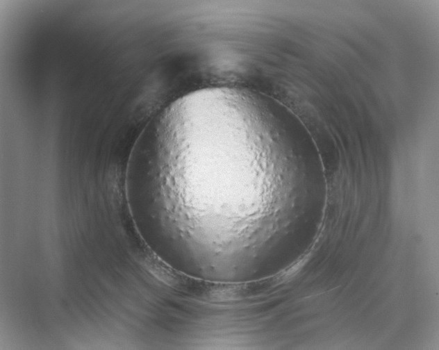 X0000076080178200609291300