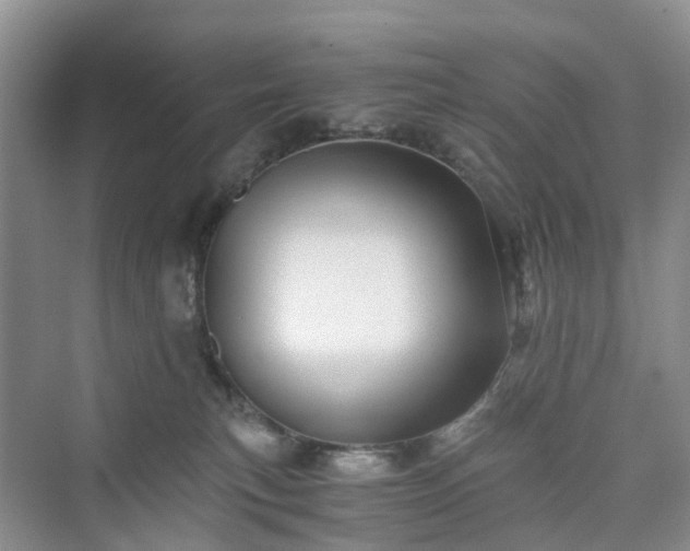 X0000076080183200609291300