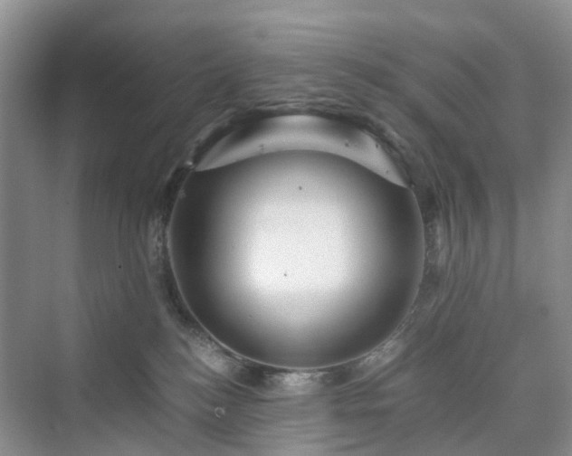 X0000076080184200609291300