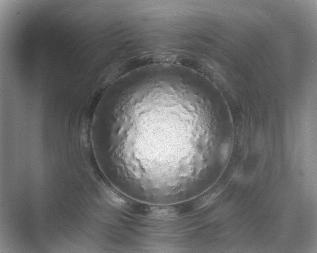 X0000076080185200609291300