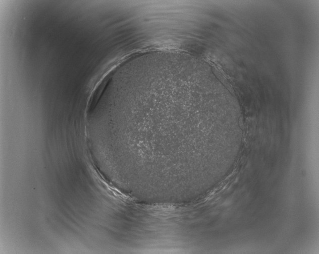 X0000076080194200609291300