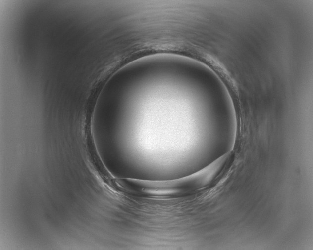 X0000076080201200609291300