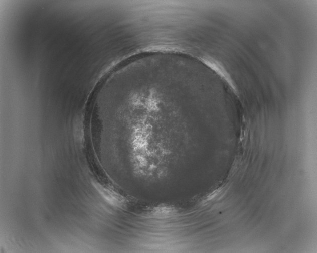 X0000076080204200609291300
