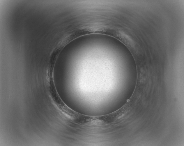 X0000076080210200609291259
